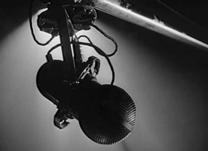 Photo of a microphone on a long boom.